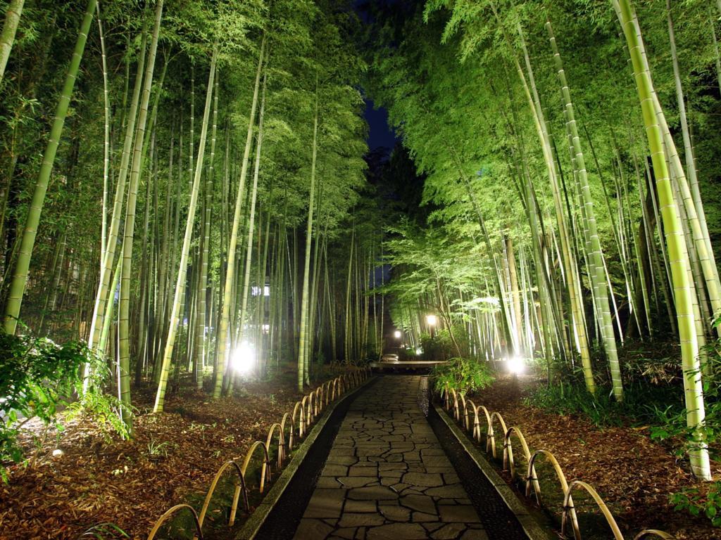 Asaba Ryokan Izu  Exterior photo